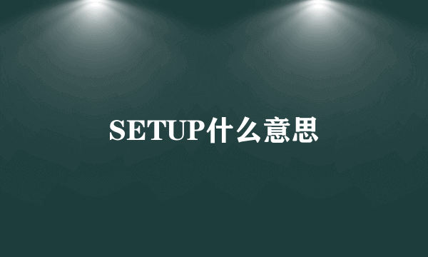 SETUP什么意思