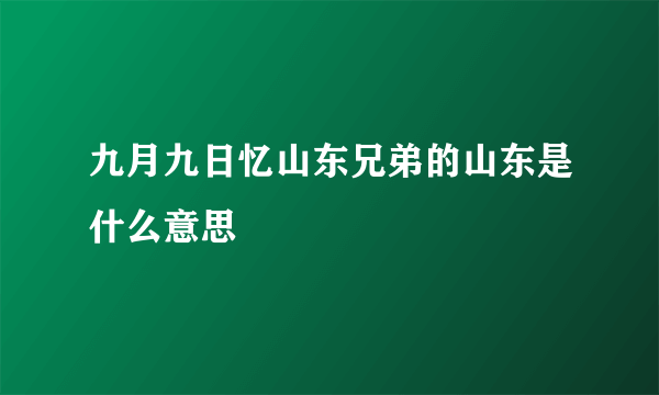 九月九日忆山东兄弟的山东是什么意思