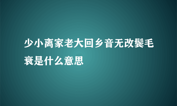 少小离家老大回乡音无改鬓毛衰是什么意思