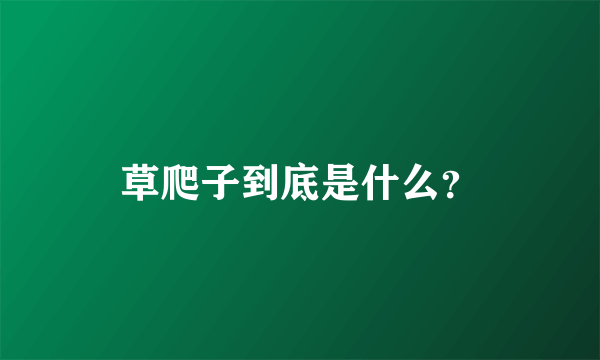 草爬子到底是什么？