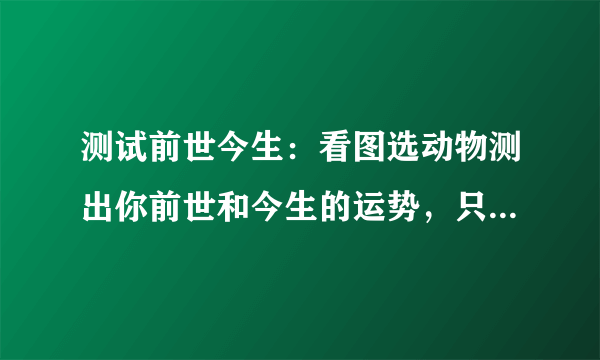 测试前世今生：看图选动物测出你前世和今生的运势，只需一秒超准