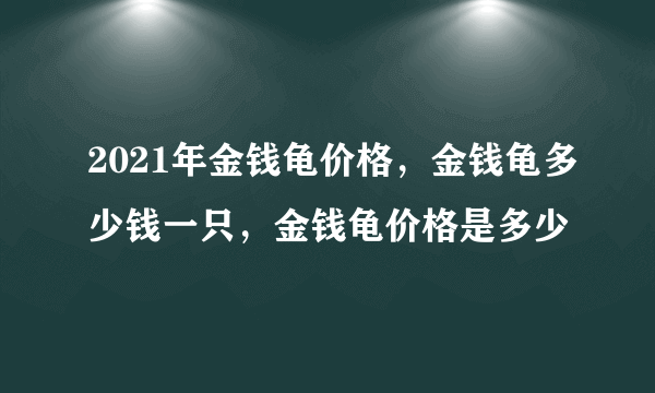 2021年金钱龟价格，金钱龟多少钱一只，金钱龟价格是多少