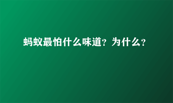 蚂蚁最怕什么味道？为什么？