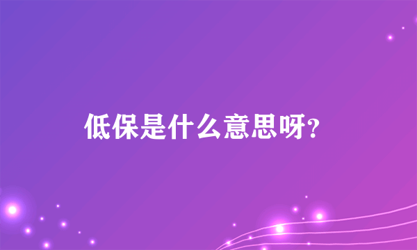 低保是什么意思呀？