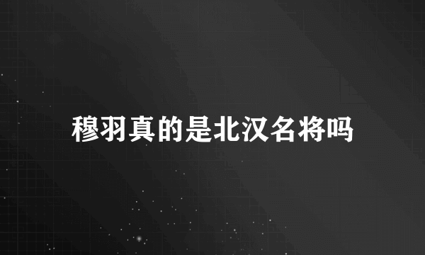 穆羽真的是北汉名将吗