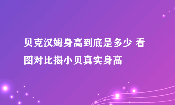 贝克汉姆身高到底是多少 看图对比揭小贝真实身高