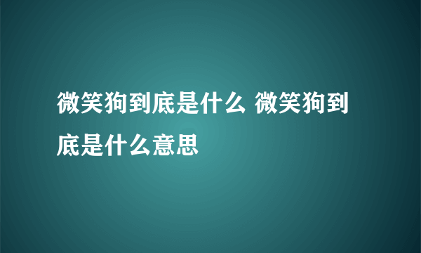 微笑狗到底是什么 微笑狗到底是什么意思