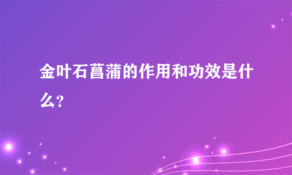 金叶石菖蒲的作用和功效是什么？