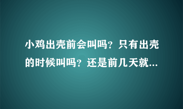 小鸡出壳前会叫吗？只有出壳的时候叫吗？还是前几天就在壳里叫？