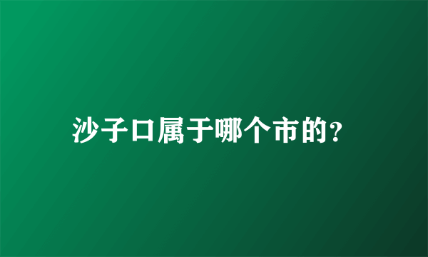 沙子口属于哪个市的？