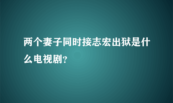 两个妻子同时接志宏出狱是什么电视剧？