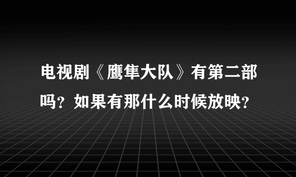 电视剧《鹰隼大队》有第二部吗？如果有那什么时候放映？