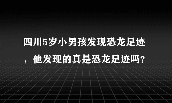 四川5岁小男孩发现恐龙足迹，他发现的真是恐龙足迹吗？