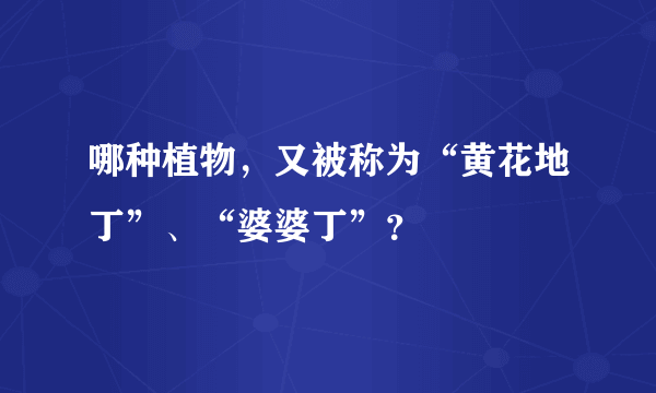 哪种植物，又被称为“黄花地丁”、“婆婆丁”？