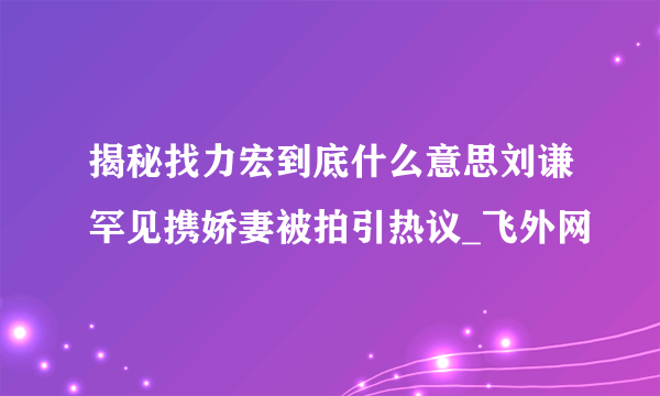 揭秘找力宏到底什么意思刘谦罕见携娇妻被拍引热议_飞外网