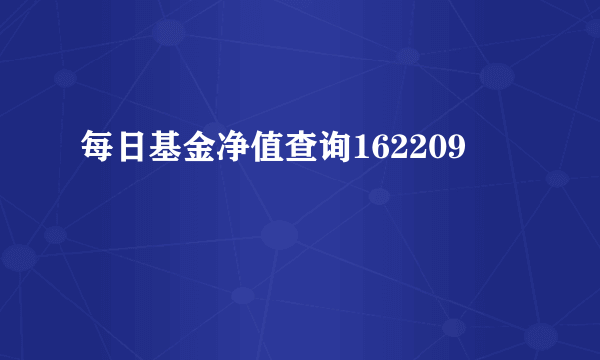 每日基金净值查询162209