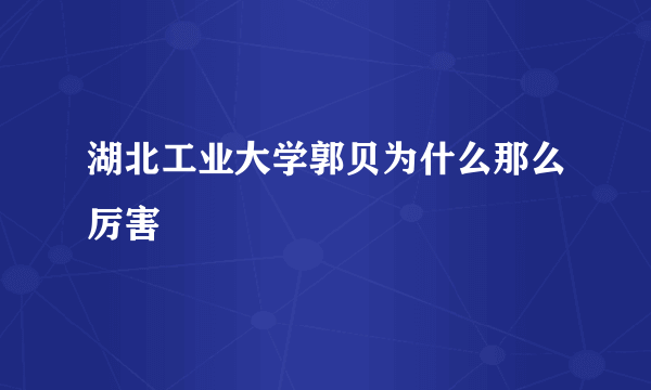 湖北工业大学郭贝为什么那么厉害