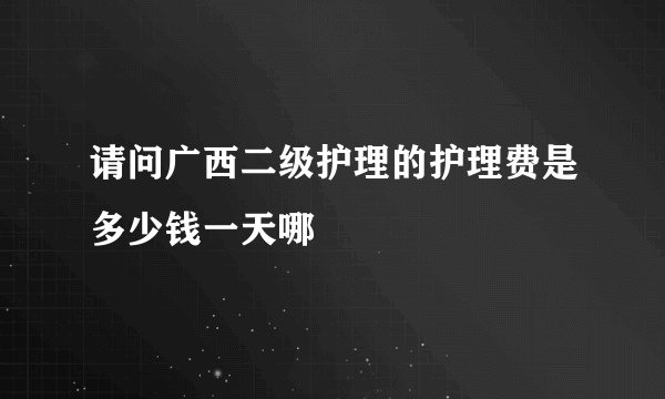 请问广西二级护理的护理费是多少钱一天哪