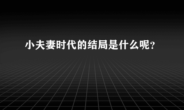 小夫妻时代的结局是什么呢？