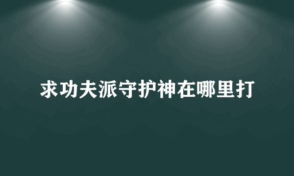 求功夫派守护神在哪里打