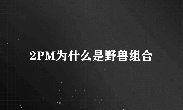 2PM为什么是野兽组合