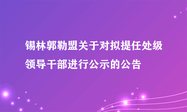 锡林郭勒盟关于对拟提任处级领导干部进行公示的公告