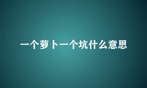 一个萝卜一个坑什么意思