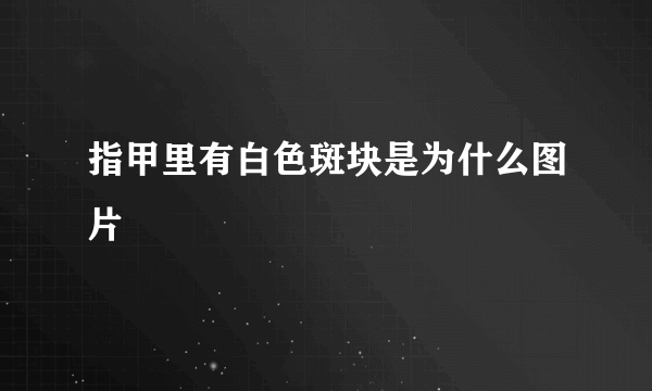 指甲里有白色斑块是为什么图片