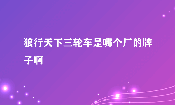 狼行天下三轮车是哪个厂的牌子啊