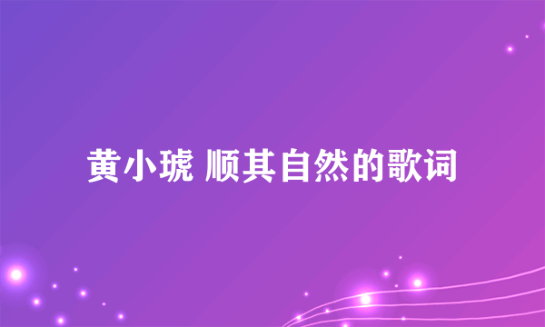 黄小琥 顺其自然的歌词