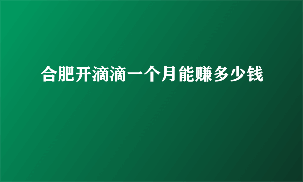 合肥开滴滴一个月能赚多少钱