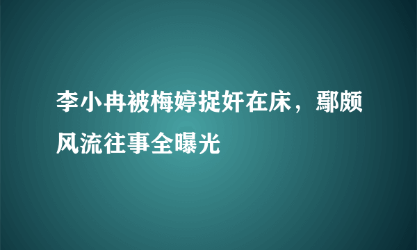 李小冉被梅婷捉奸在床，鄢颇风流往事全曝光 