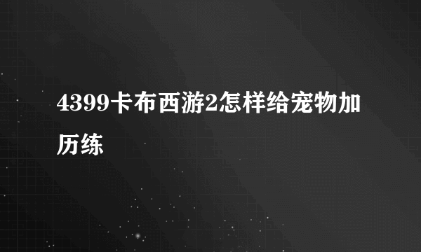 4399卡布西游2怎样给宠物加历练