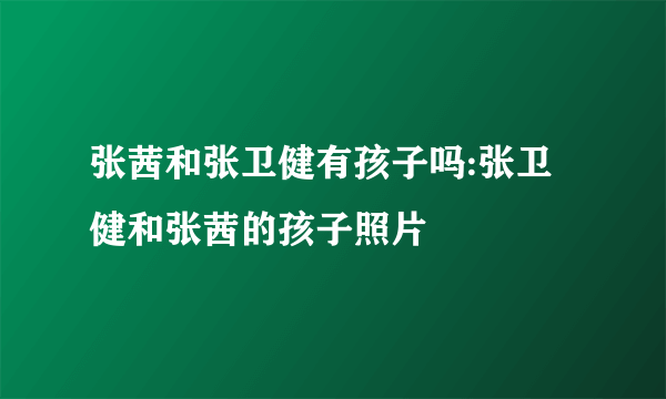 张茜和张卫健有孩子吗:张卫健和张茜的孩子照片