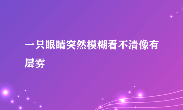 一只眼睛突然模糊看不清像有层雾