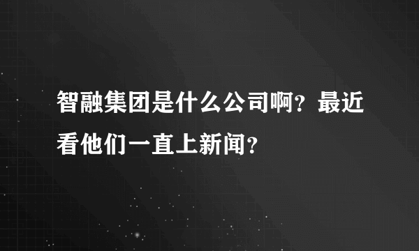 智融集团是什么公司啊？最近看他们一直上新闻？