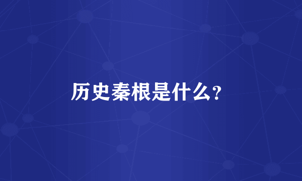 历史秦根是什么？