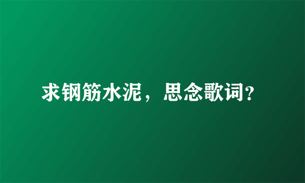 求钢筋水泥，思念歌词？