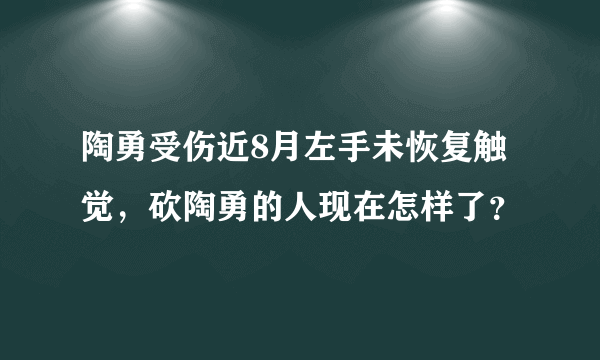 陶勇受伤近8月左手未恢复触觉，砍陶勇的人现在怎样了？