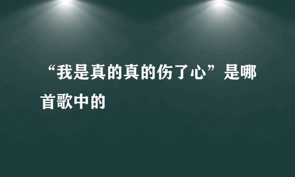 “我是真的真的伤了心”是哪首歌中的