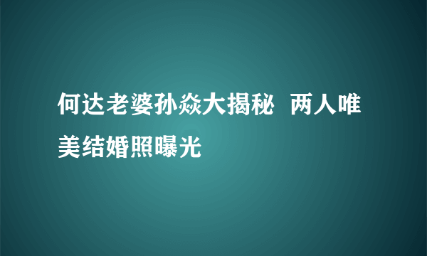 何达老婆孙焱大揭秘  两人唯美结婚照曝光