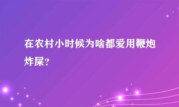 在农村小时候为啥都爱用鞭炮炸屎？