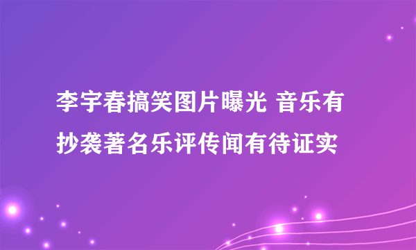 李宇春搞笑图片曝光 音乐有抄袭著名乐评传闻有待证实