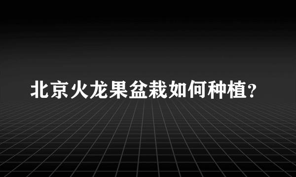 北京火龙果盆栽如何种植？