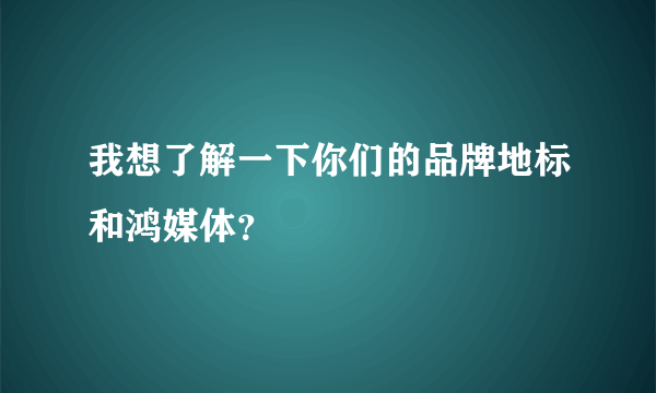 我想了解一下你们的品牌地标和鸿媒体？