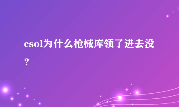 csol为什么枪械库领了进去没？