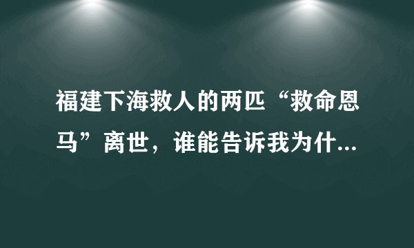 福建下海救人的两匹“救命恩马”离世，谁能告诉我为什么要用马救？