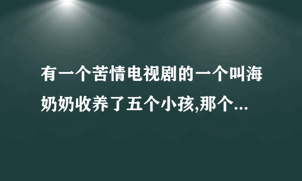 有一个苦情电视剧的一个叫海奶奶收养了五个小孩,那个电视剧叫什么名字