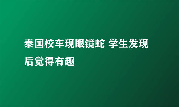 泰国校车现眼镜蛇 学生发现后觉得有趣