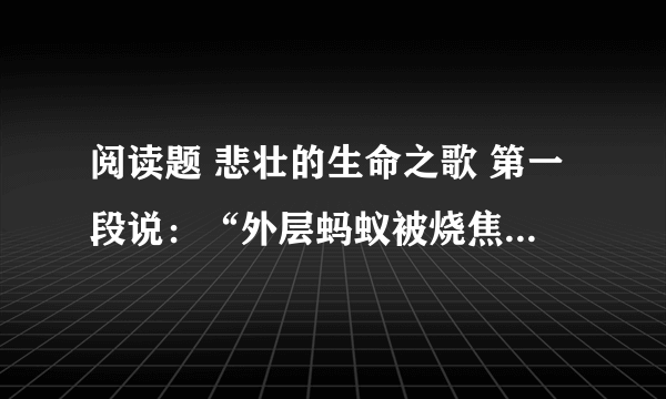 阅读题 悲壮的生命之歌 第一段说：“外层蚂蚁被烧焦了，”可